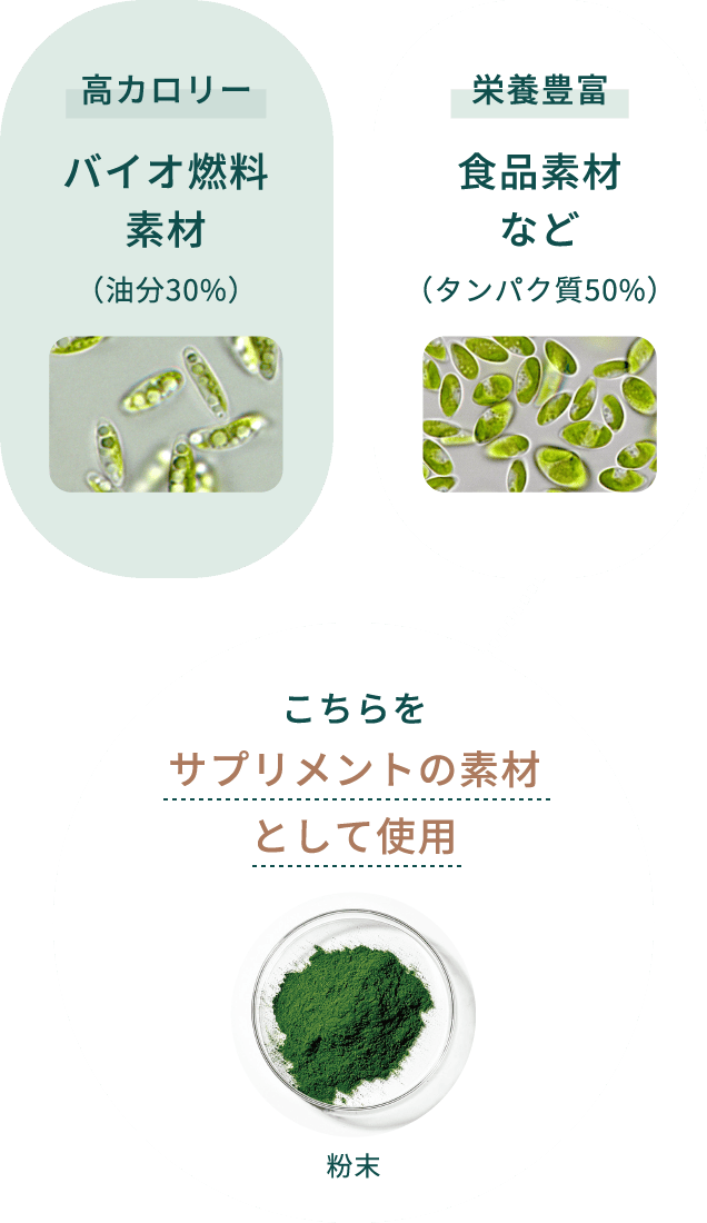 バイオ燃料素材 食品素材など