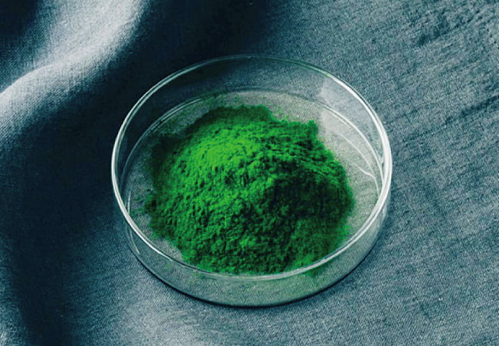 藻類「コッコミクサKJ®」