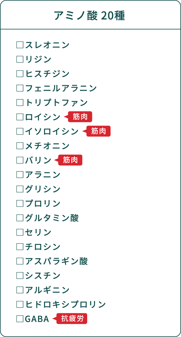 アミノ酸 20種