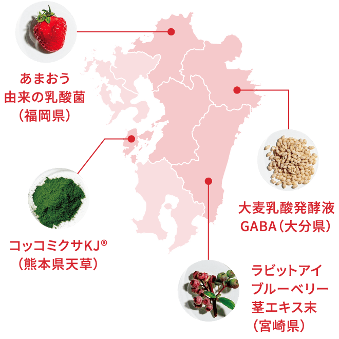 九州地図