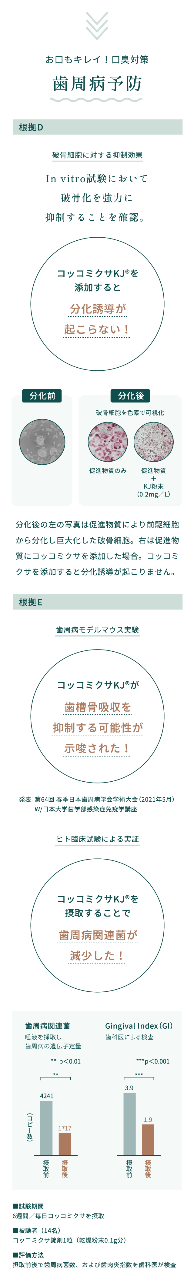 歯周病予防編